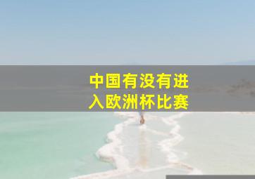 中国有没有进入欧洲杯比赛