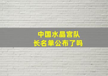 中国水晶宫队长名单公布了吗