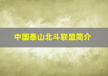 中国泰山北斗联盟简介