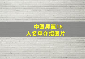 中国男篮16人名单介绍图片