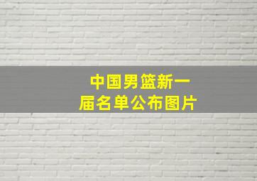 中国男篮新一届名单公布图片