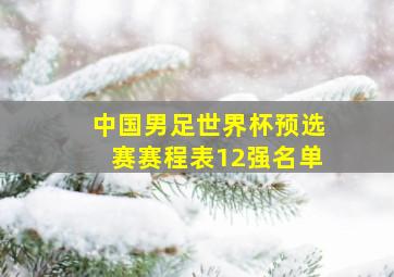 中国男足世界杯预选赛赛程表12强名单