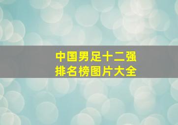 中国男足十二强排名榜图片大全