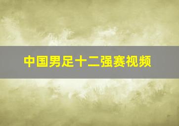 中国男足十二强赛视频