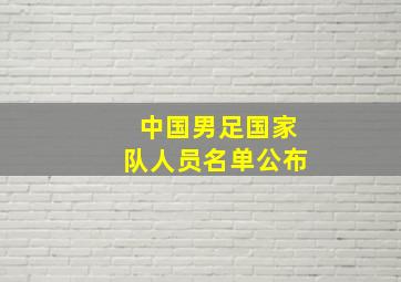 中国男足国家队人员名单公布