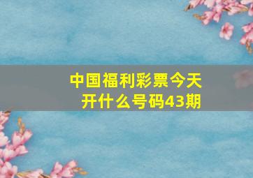 中国福利彩票今天开什么号码43期