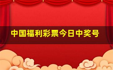 中国福利彩票今日中奖号