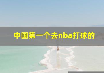 中国第一个去nba打球的