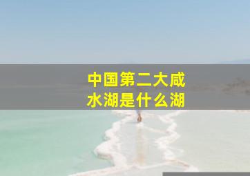 中国第二大咸水湖是什么湖