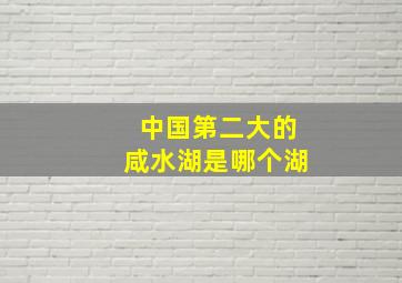 中国第二大的咸水湖是哪个湖