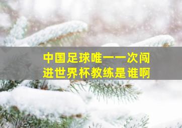 中国足球唯一一次闯进世界杯教练是谁啊