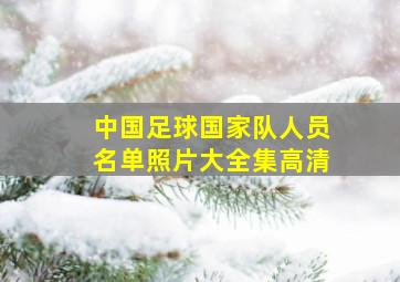 中国足球国家队人员名单照片大全集高清