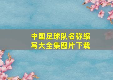 中国足球队名称缩写大全集图片下载