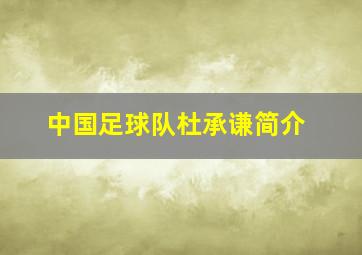 中国足球队杜承谦简介