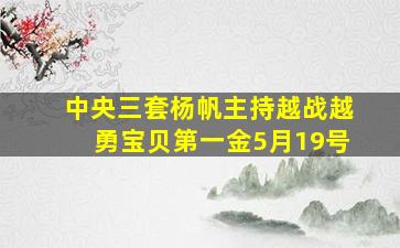 中央三套杨帆主持越战越勇宝贝第一金5月19号