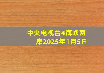 中央电视台4海峡两岸2025年1月5日