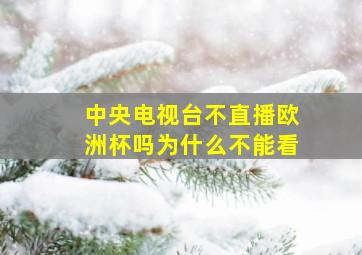 中央电视台不直播欧洲杯吗为什么不能看