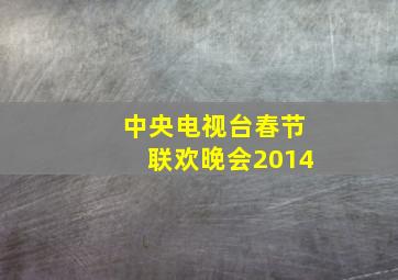 中央电视台春节联欢晚会2014