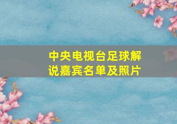 中央电视台足球解说嘉宾名单及照片