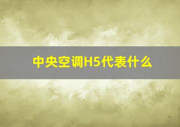 中央空调H5代表什么