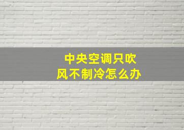 中央空调只吹风不制冷怎么办