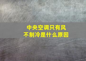 中央空调只有风不制冷是什么原因