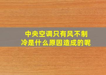 中央空调只有风不制冷是什么原因造成的呢