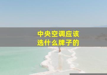 中央空调应该选什么牌子的