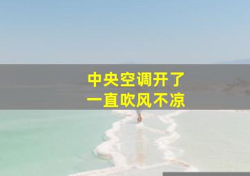 中央空调开了一直吹风不凉