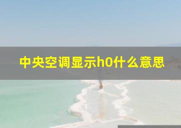 中央空调显示h0什么意思