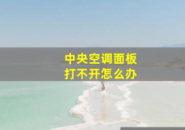 中央空调面板打不开怎么办