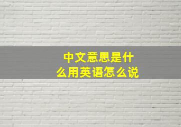 中文意思是什么用英语怎么说