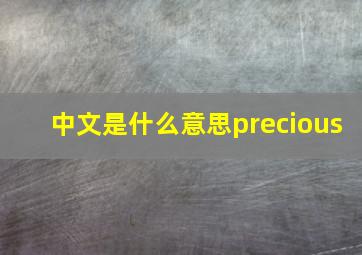 中文是什么意思precious