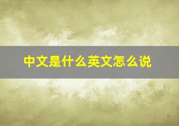 中文是什么英文怎么说