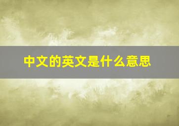 中文的英文是什么意思