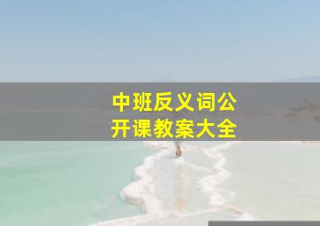 中班反义词公开课教案大全