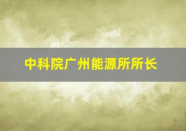 中科院广州能源所所长