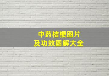 中药桔梗图片及功效图解大全