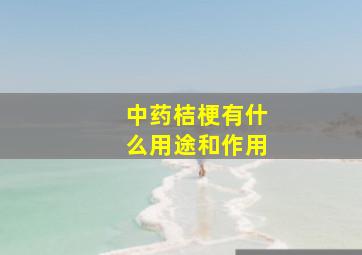 中药桔梗有什么用途和作用