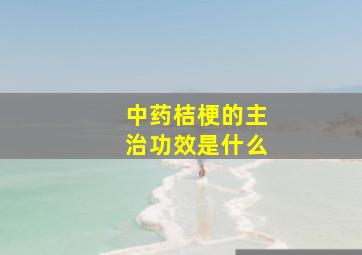 中药桔梗的主治功效是什么