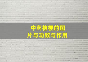 中药桔梗的图片与功效与作用