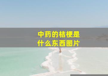 中药的桔梗是什么东西图片