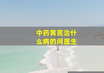 中药黄芪治什么病的问医生