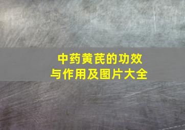 中药黄芪的功效与作用及图片大全