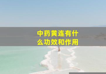 中药黄连有什么功效和作用