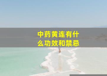 中药黄连有什么功效和禁忌