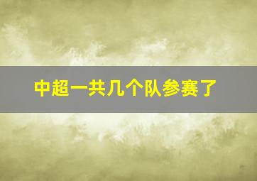 中超一共几个队参赛了