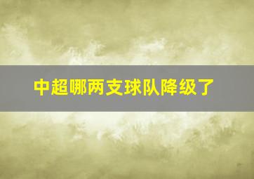 中超哪两支球队降级了