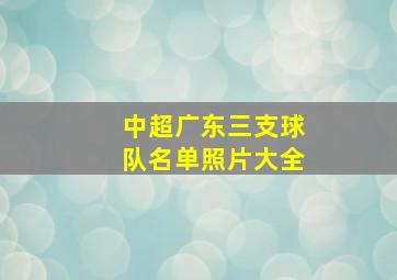 中超广东三支球队名单照片大全