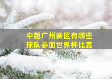 中超广州赛区有哪些球队参加世界杯比赛